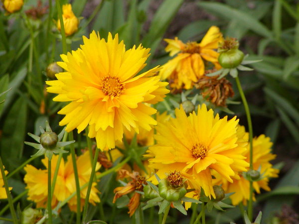 P1010205a.JPG