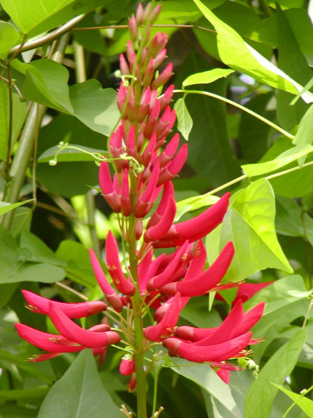 P1010306a.JPG