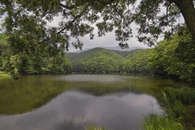 lake(10mm)