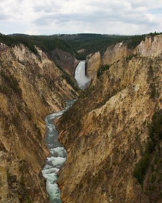 Grand Cayon of the Yellowstone