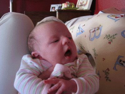 IMG_2645.gif
