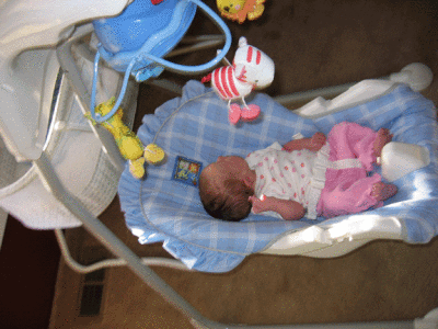 IMG_2651.gif