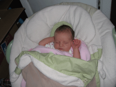 IMG_2652.gif