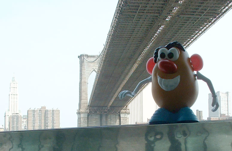 Spud Under the Brooklyn Bridge