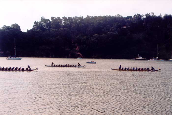 dboat0030.jpg