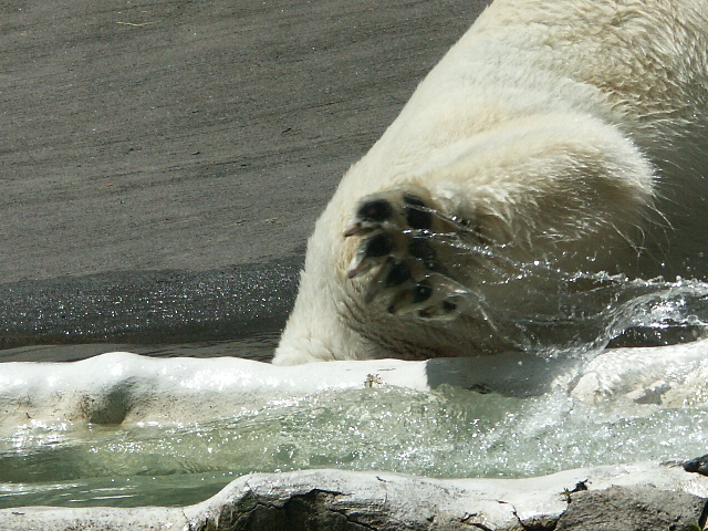 PICT6269.JPG
