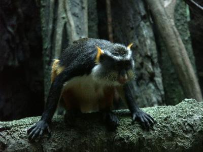 PICT6322.JPG