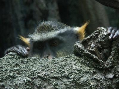 PICT6557.JPG