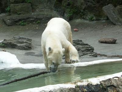PICT6772.JPG