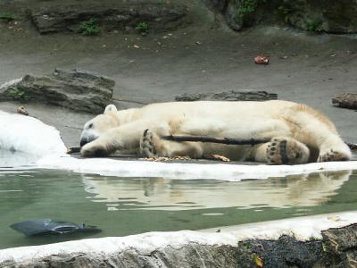 PICT6810.JPG