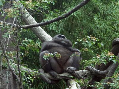 PICT6753.JPG
