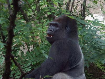 PICT6764.JPG