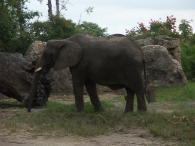 PICT7160.JPG