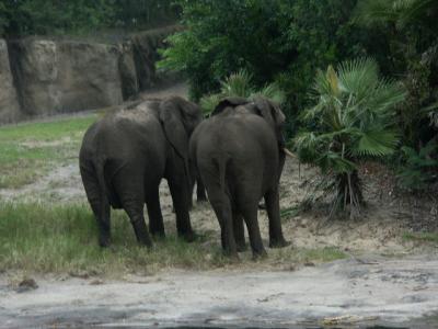 PICT7194.JPG