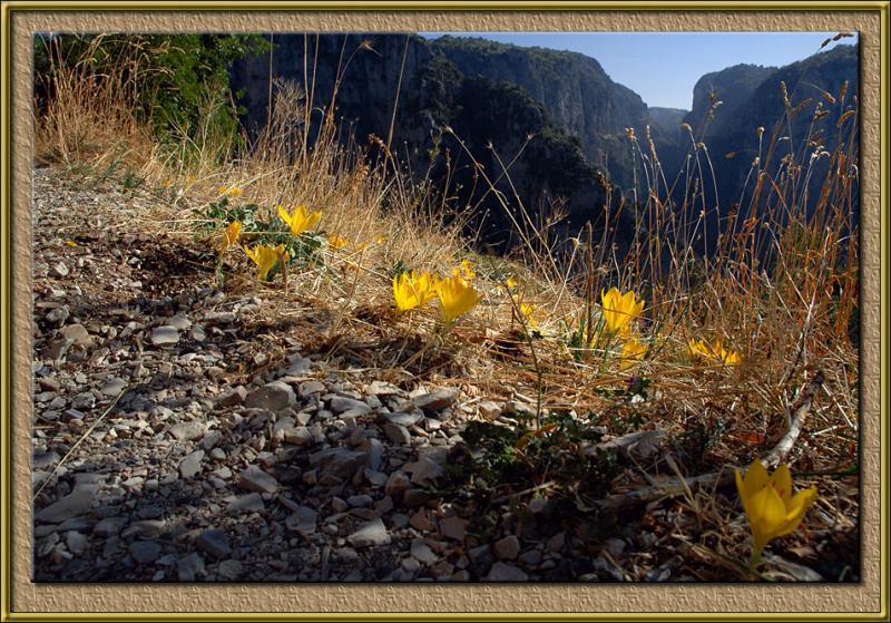 The Vikos gorge, Greece