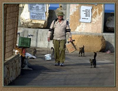 A fisherman with cats