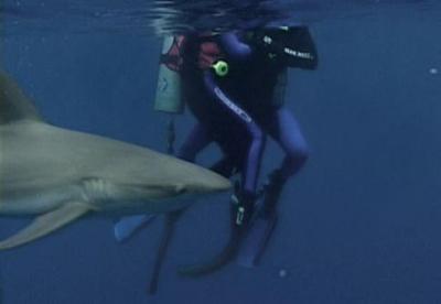 openwater.JPG