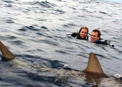 openwater2.JPG