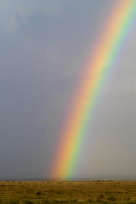 rainbow 2