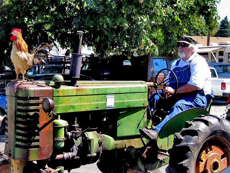 Tractor with Rooster