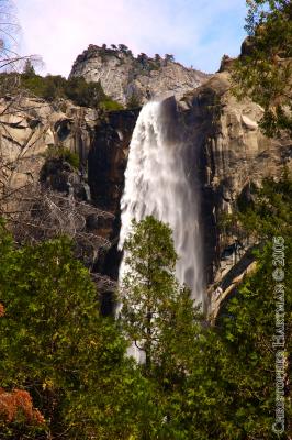 Yosemite05195.jpg