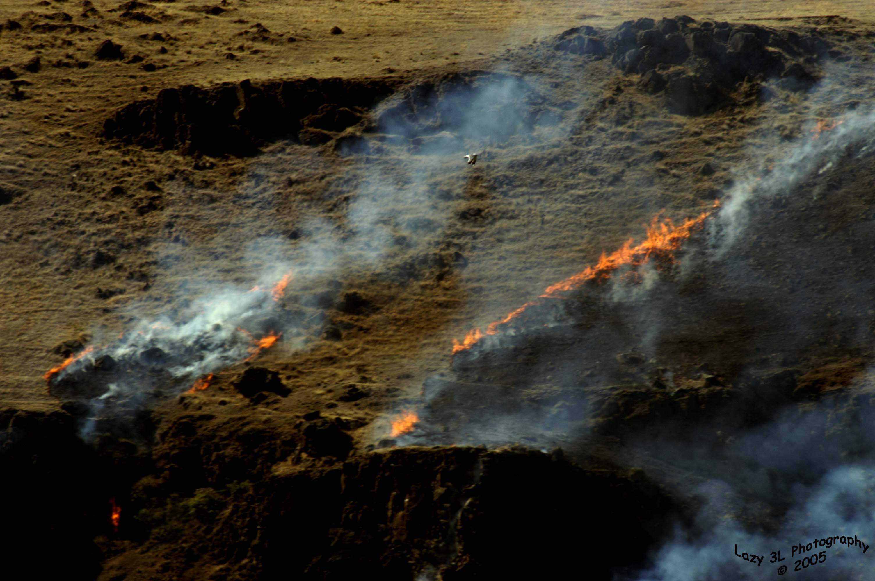 Grass Fire<br>July 4