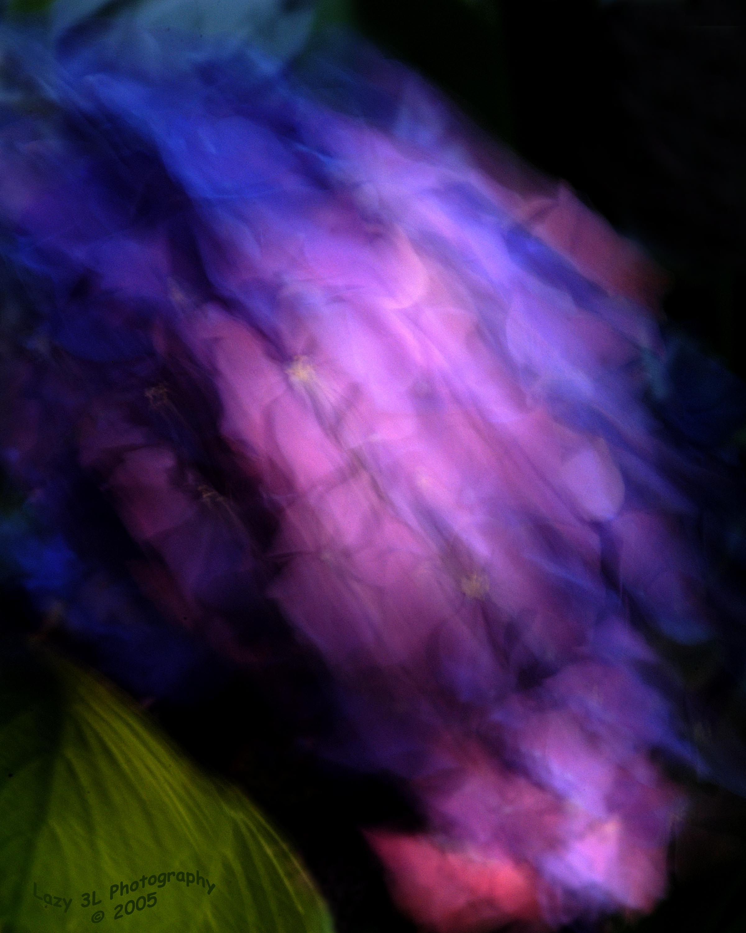 Flowerfall