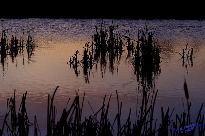 Peaceful Sunset Pond<br>Feb 22