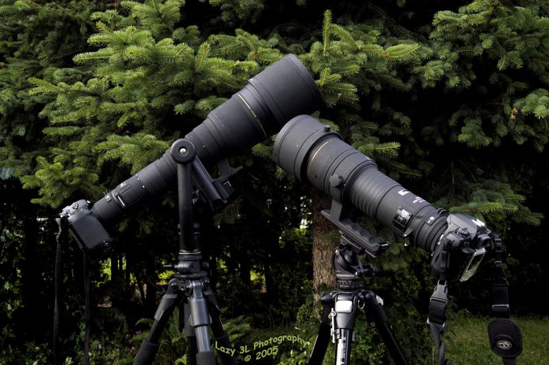 The Long Lenses for Marj<br>June 6