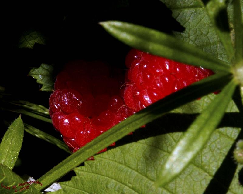 Hidden Treasure<br>June 23