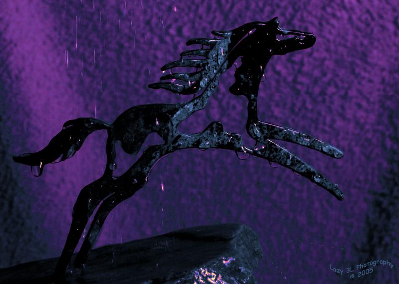 Rain Dance<br>June 24