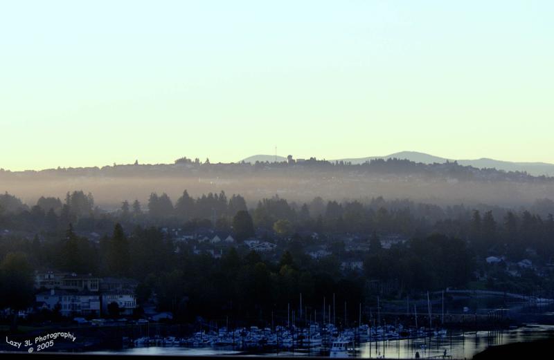 Misty City Morning<br>July 18