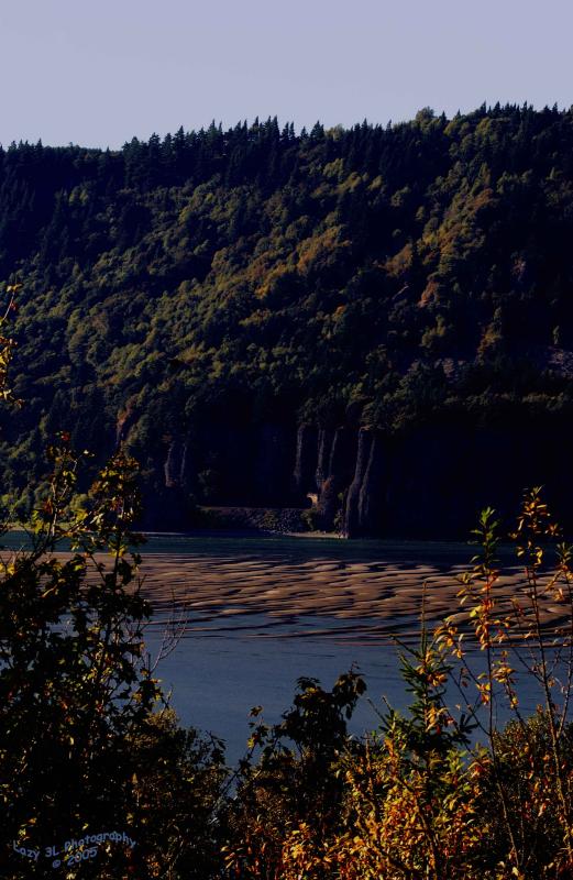 Mud Flats in the Columbia<br>September 17 extra