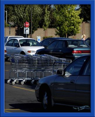 Shopping Carts and Human NatureAugust 15