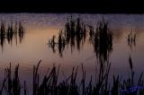 Peaceful Sunset Pond<br>Feb 22