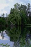 Reflections<br>July 22