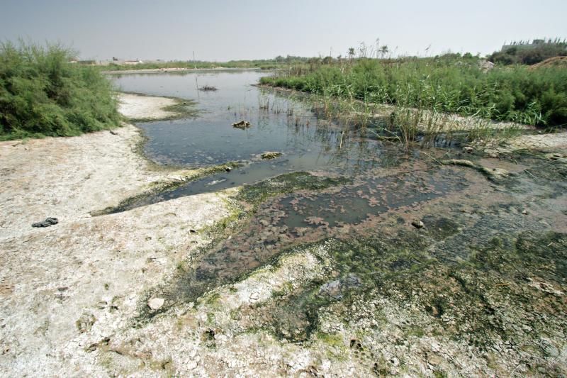 Raw sewage in the Wadi Gaza