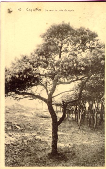 DE_HAAN_BOIS_DE_SAPINS_1936.JPG