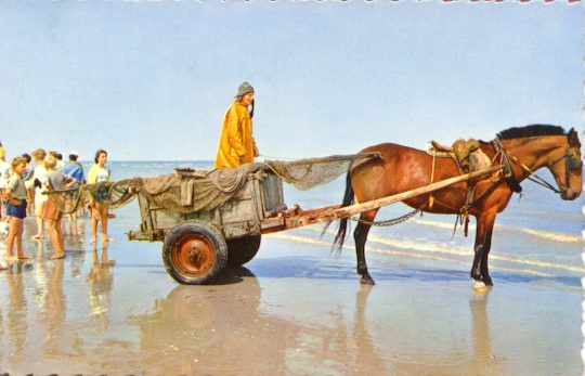 OOSTDUINKERKE_P_CHEUR_CREVE.JPG