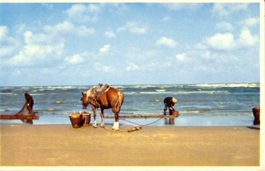 OOSTDUINKERKE_P_CHEUR_CREVE2.JPG