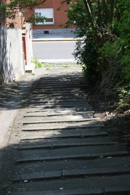 v3/55/561755/3/44975384.Phototest049.jpg