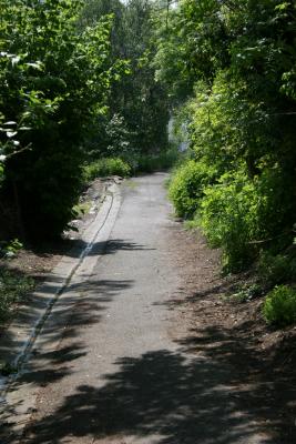 v3/55/561755/3/44975391.d12.jpg
