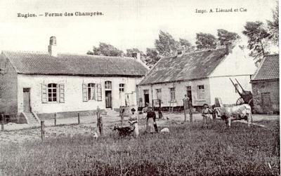 EUGIES_FERME_CHAMPR_S.JPG