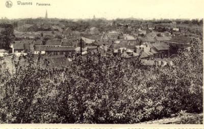 PANORAMA_WASMES1.JPG