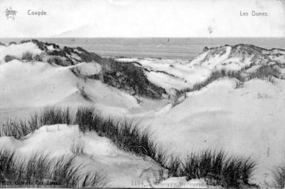 v3/55/561755/3/49648955.KOKSIJDE_LES_DUNES.jpg