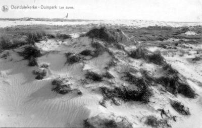 v3/55/561755/3/49649065.OOSTDUINKERKE_DUINPARK1.jpg