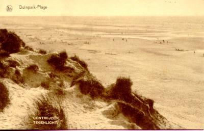 v3/55/561755/3/49649066.OOSTDUINKERKE_DUINPARK2.jpg