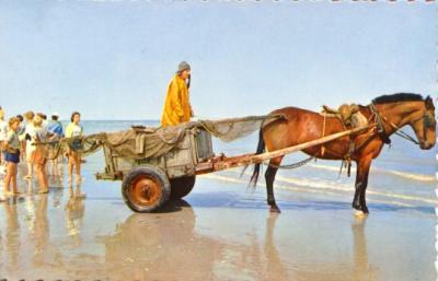 v3/55/561755/3/49649072.OOSTDUINKERKE_P_CHEUR_CREVE.jpg