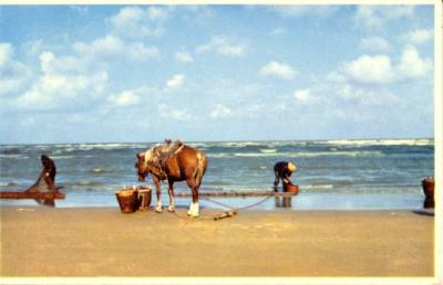 v3/55/561755/3/49649073.OOSTDUINKERKE_P_CHEUR_CREVE2.jpg