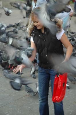 Trafalgar Square Pigeons 2